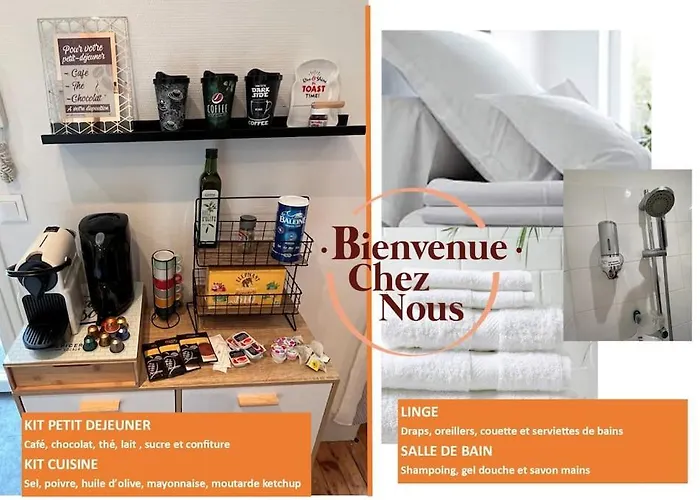 New Cosy Plein Centre Augustins A